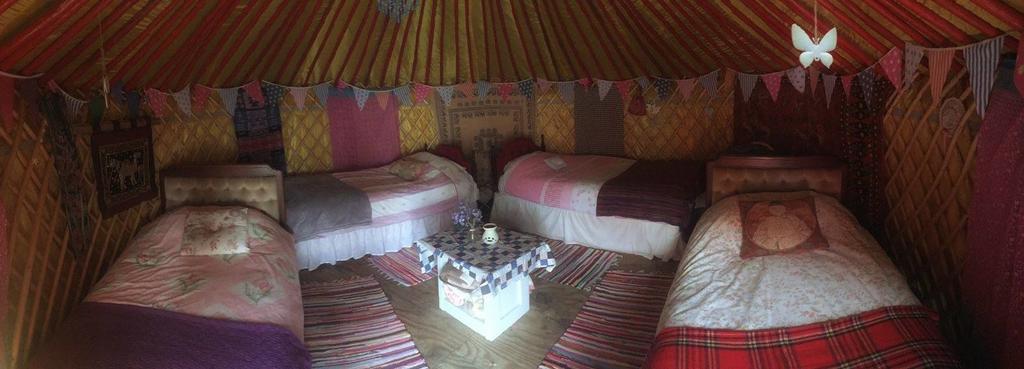 Отель Galway Glamping Туам Экстерьер фото